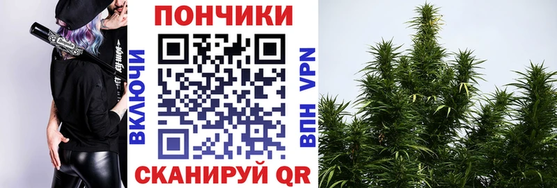 Купить наркотик Плёс Канабис COCAIN БУТИРАТ ГАШИШ A-PVP