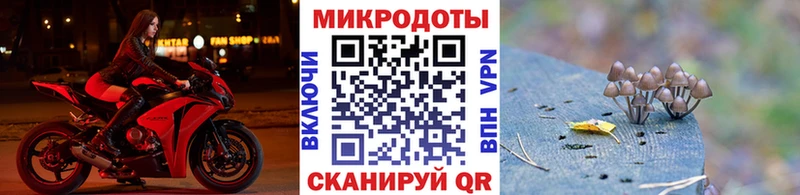 Псилоцибиновые грибы MAGIC MUSHROOMS Плёс