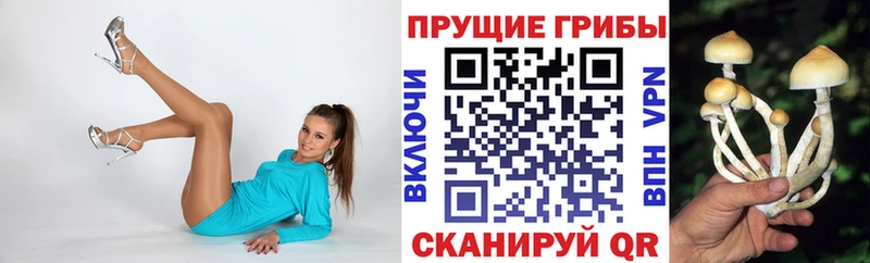 Псилоцибиновые грибы GOLDEN TEACHER  Плёс 