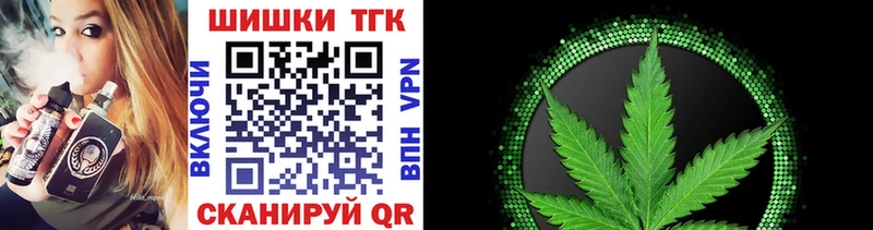 Бошки Шишки планчик Плёс